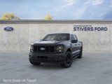 New 2025 Ford F150 STX w/ Equipment Group 201A FX4 image 2