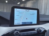 Used 2022 Ford Escape SEL image 4