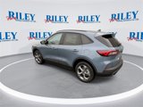 New 2025 Ford Escape ST-Line w/ Tech Pack #1 image 6