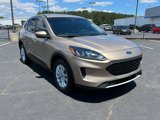 Used 2020 Ford Escape SE image 4
