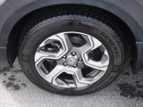 Used 2019 Honda CR-V EX image 4