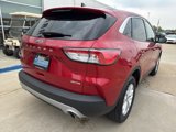 Used 2022 Ford Escape SE w/ Cold Weather Package image 6