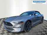 Used 2023 Ford Mustang Premium image 3