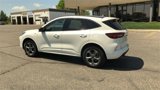 Used 2024 Ford Escape ST-Line image 6
