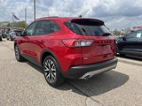 Certified 2020 Ford Escape SE Sport image 6