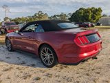 Used 2016 Ford Mustang GT Premium w/ Equipment Group 401A image 6