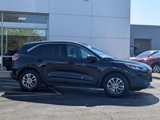 Used 2021 Ford Escape SE image 2