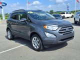 Used 2021 Ford EcoSport SE w/ SE Convenience Package image 3