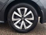 Used 2024 Honda Civic LX image 6