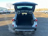 New 2025 Ford Escape Active w/ Cold Weather Package image 5