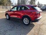 Used 2022 Ford Escape SE w/ Convenience Package image 4