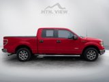 Used 2013 Ford F150 XLT w/ Luxury Equipment Group image 5