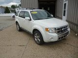 Used 2011 Ford Escape Limited w/ 302A Rapid Spec Order Code image 2