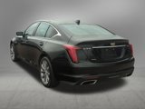 Certified 2022 Cadillac CT5 Premium Luxury image 4