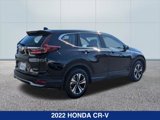 Used 2022 Honda CR-V Special Edition image 5