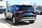 Used 2023 Ford Escape Active w/ Tech Pack #1 image 5