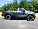 Used 2019 Ford F250 4x4 Regular Cab Super Duty image 4