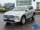 Used 2022 Hyundai Santa Fe SEL w/ Convenience Package image 2