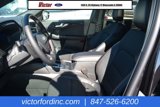 New 2025 Ford Escape ST-Line Select w/ Tech Pack #2 image 6