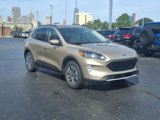 Used 2020 Ford Escape SEL image 3