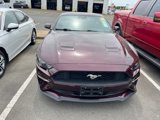 Certified 2018 Ford Mustang Premium w/ Equipment Group 201A image 2