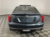 Used 2020 Cadillac CT5 Premium Luxury w/ Parking Package image 5