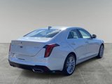 New 2025 Cadillac CT4 Premium Luxury image 5
