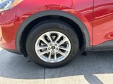 Used 2020 Ford Escape SE image 4
