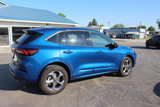 Used 2023 Ford Escape ST-Line w/ Tech Pack #1 image 4