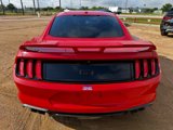 Used 2019 Ford Mustang GT w/ GT Performance Package image 4