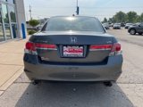 Used 2012 Honda Accord EX-L image 6