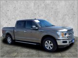 Certified 2019 Ford F150 XLT w/ Equipment Group 302A Luxury image 3