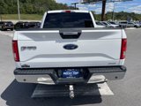 Used 2015 Ford F150 XLT w/ Equipment Group 302A Luxury image 6