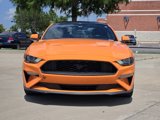 Used 2020 Ford Mustang Coupe w/ Equipment Group 101A image 3