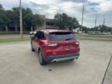 Used 2022 Ford Escape SEL image 5