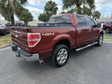 Used 2014 Ford F150 XLT w/ Equipment Group 302A Luxury image 6
