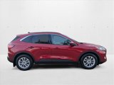 Used 2020 Ford Escape SE image 4
