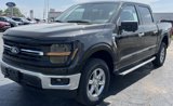 New 2024 Ford F150 XLT image 4