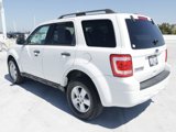 Used 2010 Ford Escape XLT image 5