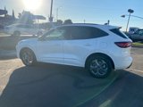 New 2024 Ford Escape ST-Line w/ Tech Pack #1 image 4