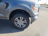 Used 2022 Ford F150 XL w/ STX Appearance Package image 4
