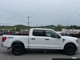 Used 2021 Ford F150 XLT w/ Equipment Group 301A Mid image 4