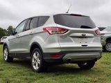 Used 2014 Ford Escape SE image 3