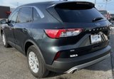 Used 2022 Ford Escape SE w/ Convenience Package image 4