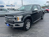 Used 2019 Ford F150 XLT w/ Equipment Group 302A Luxury image 3