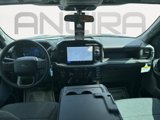 New 2025 Ford F150 XL w/ Equipment Group 103A High image 2
