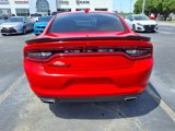 Used 2019 Dodge Charger SXT w/ Blacktop Package image 4