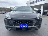 Used 2022 Ford Escape SE w/ SE Sport Appearance Package image 2