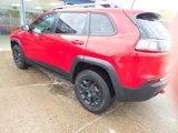 Used 2019 Jeep Cherokee Trailhawk w/ Cold Weather Group image 5
