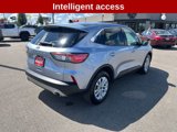 Used 2022 Ford Escape SE image 5